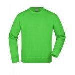 889-A Bisiklet Yaka Polar Sweatshirt Açık Yeşil